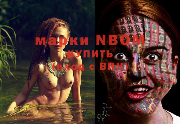 a pvp Абаза