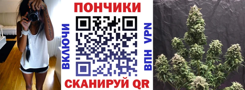 купить   Ужур  Шишки марихуана Amnesia 